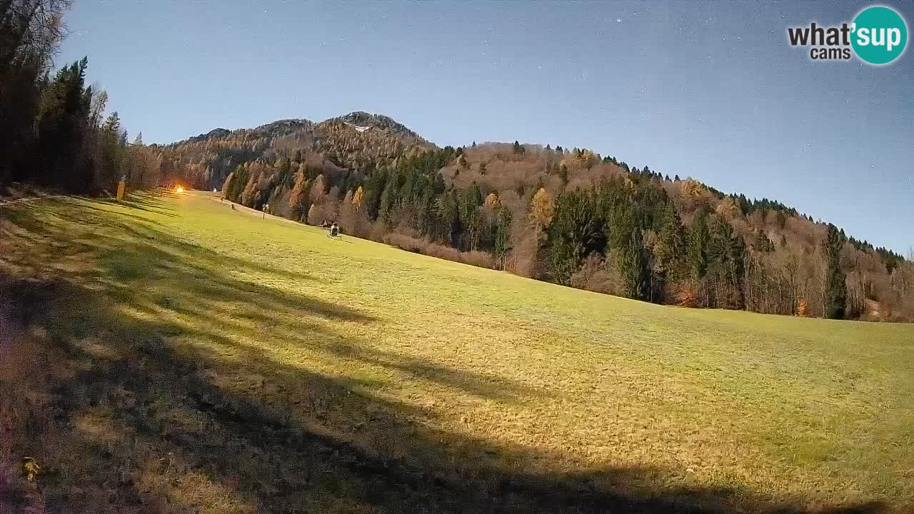 Ski Kranjska Gora | Brsnina