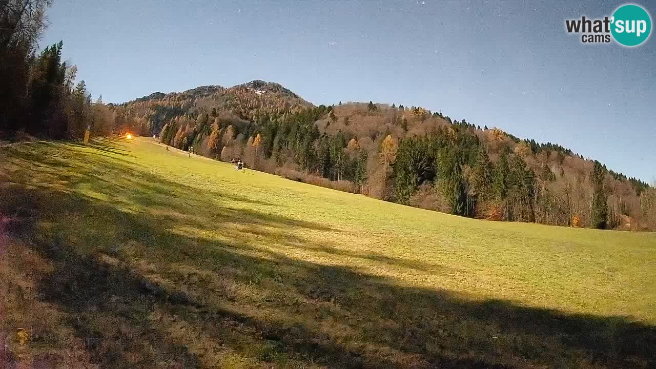 Comprensorio sciistico Kranjska Gora | Brsnina