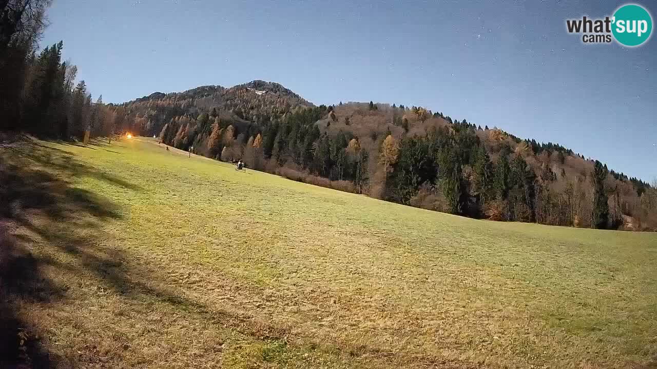 Ski Kranjska Gora | Brsnina