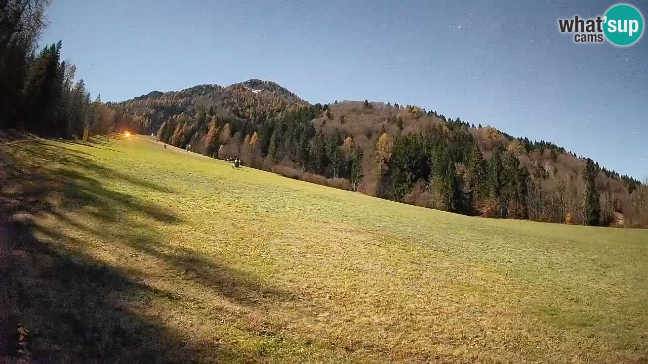Kranjska Gora Station de ski | Brsnina