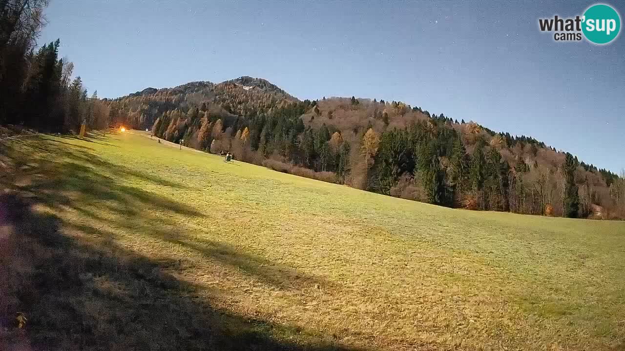 Esquí Kranjska Gora | Brsnina