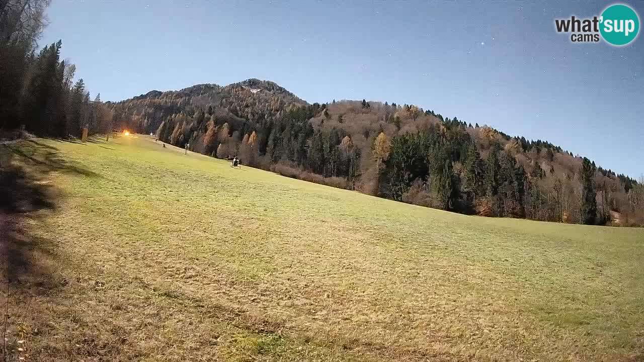 Ski Kranjska Gora | Brsnina