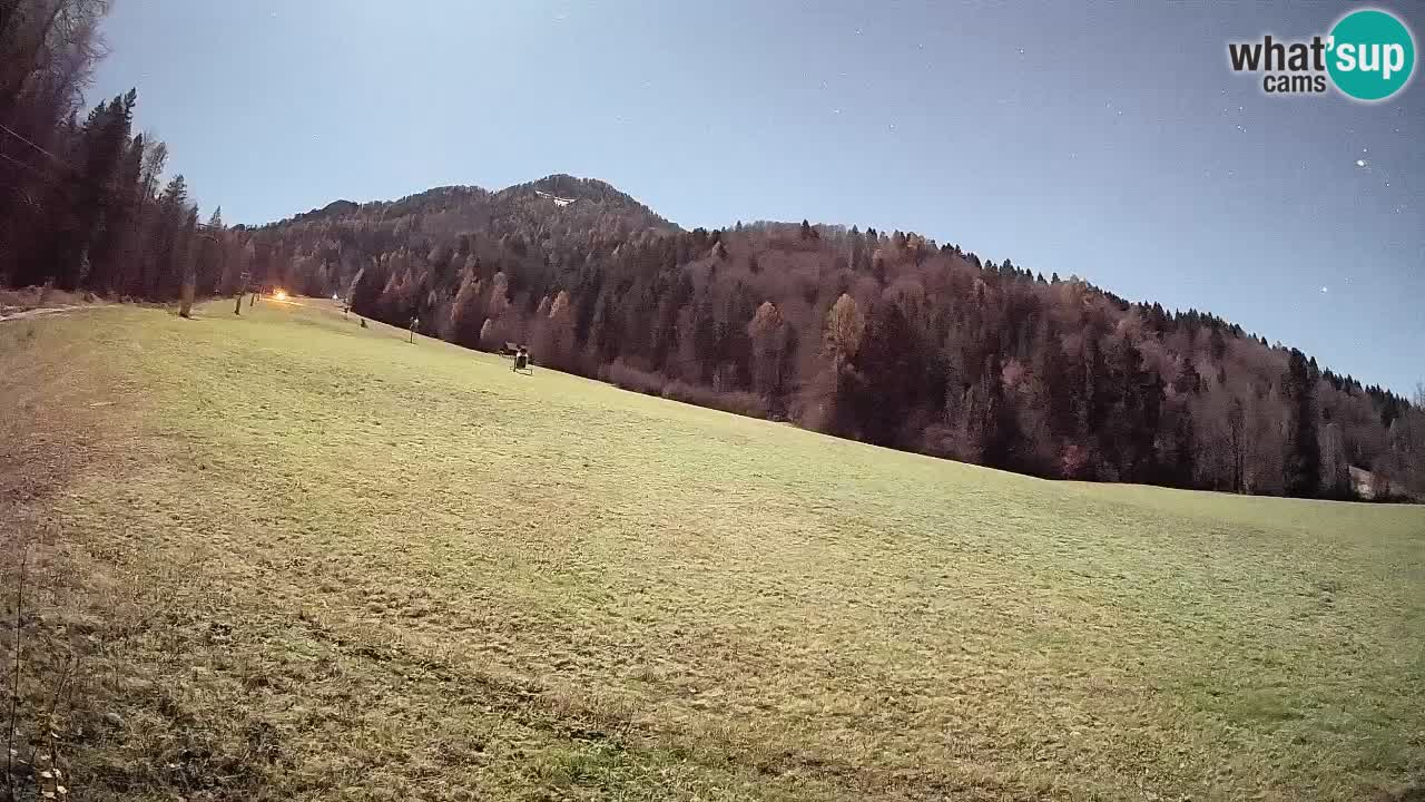 RTC Kranjska Gora | Brsnina