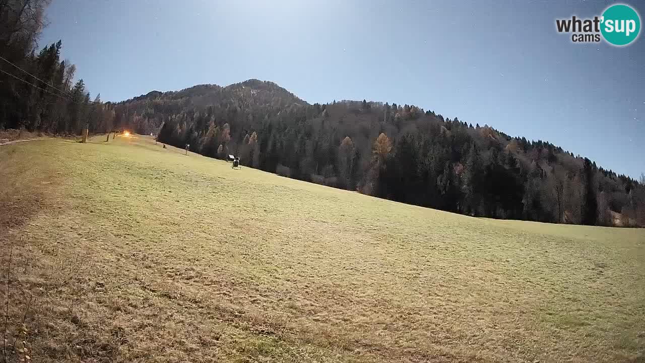Ski Kranjska Gora | Brsnina