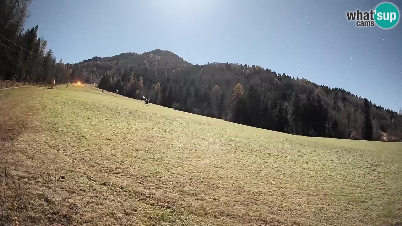RTC Kranjska Gora | Brsnina