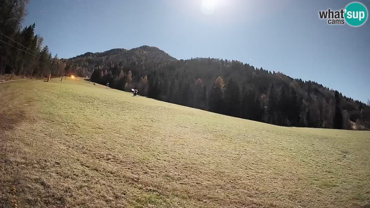 Esquí Kranjska Gora | Brsnina