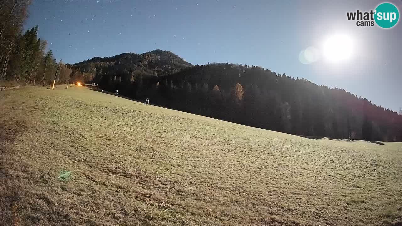Ski Kranjska Gora | Brsnina