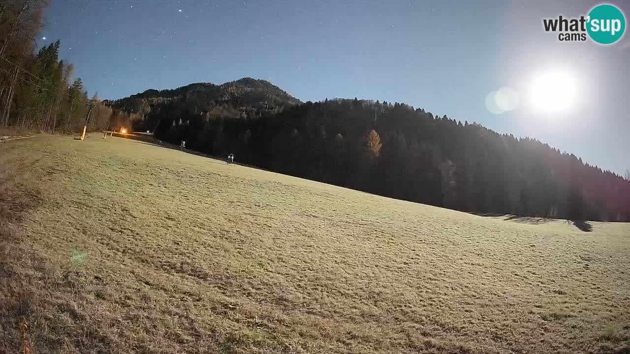 RTC Skigebiet Kranjska Gora | Brsnina