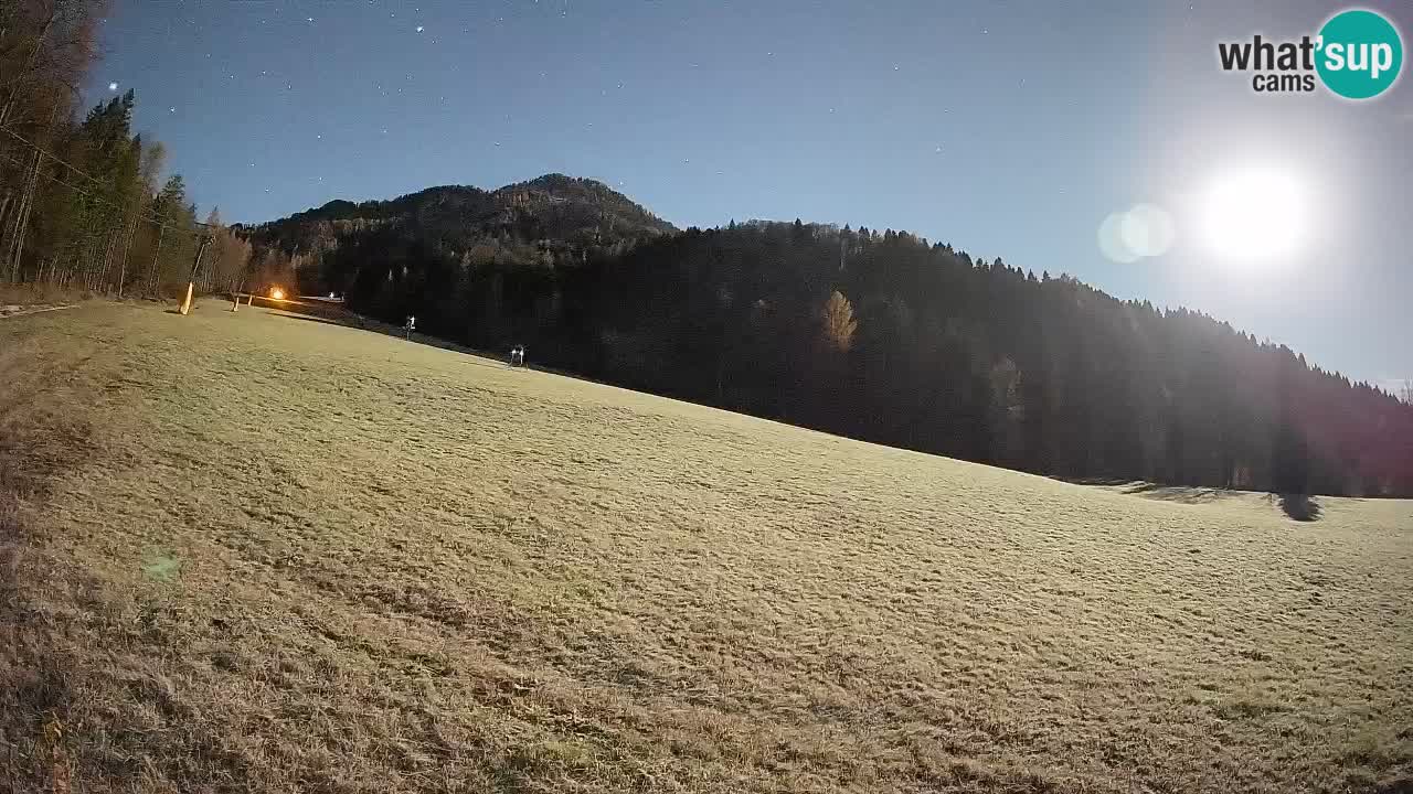 Kranjska Gora Station de ski | Brsnina