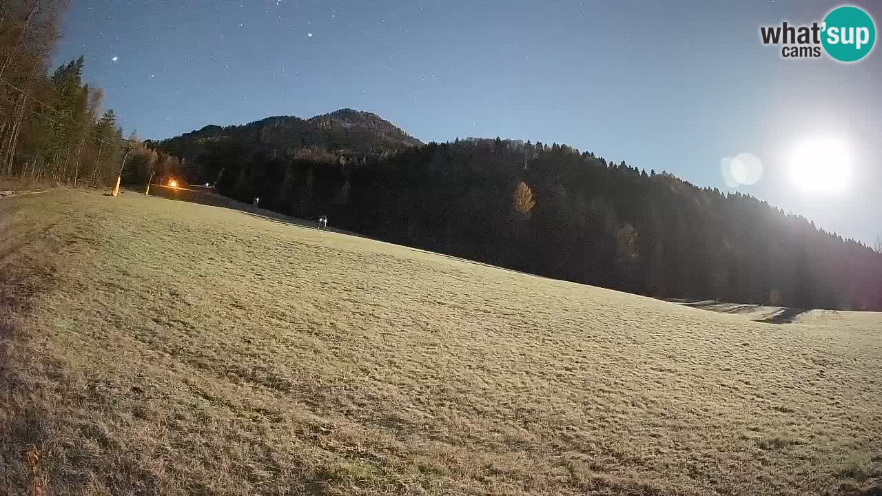 Esquí Kranjska Gora | Brsnina