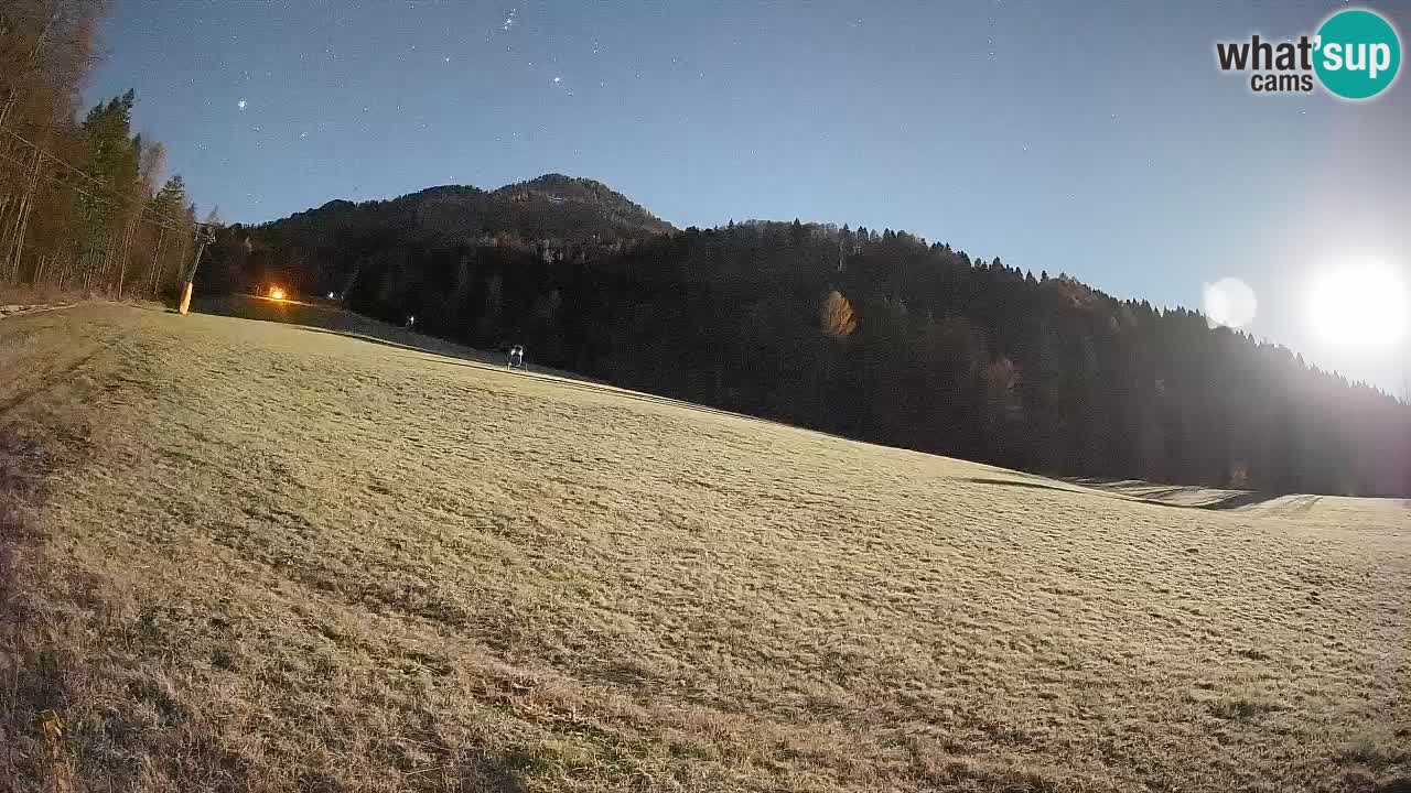 Kranjska Gora Station de ski | Brsnina