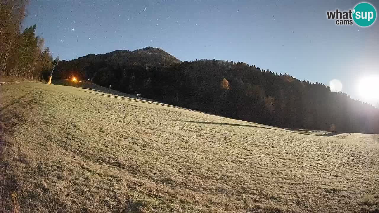 RTC Skigebiet Kranjska Gora | Brsnina