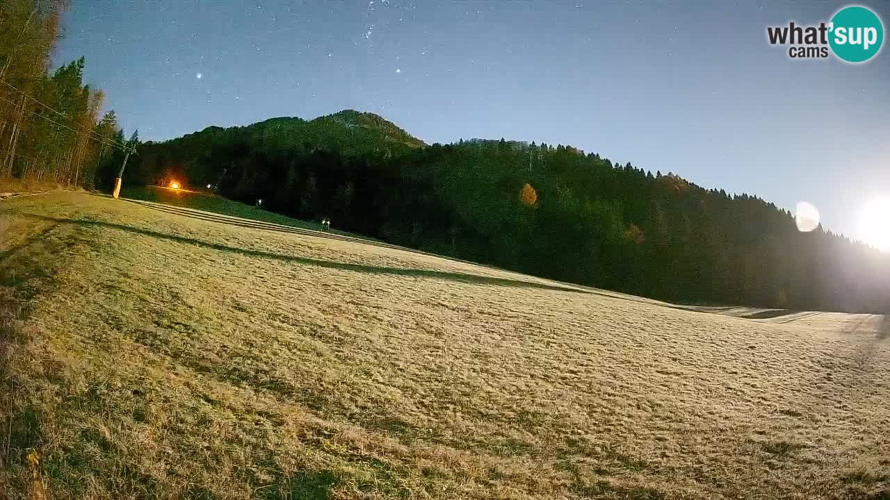 Ski Kranjska Gora | Brsnina