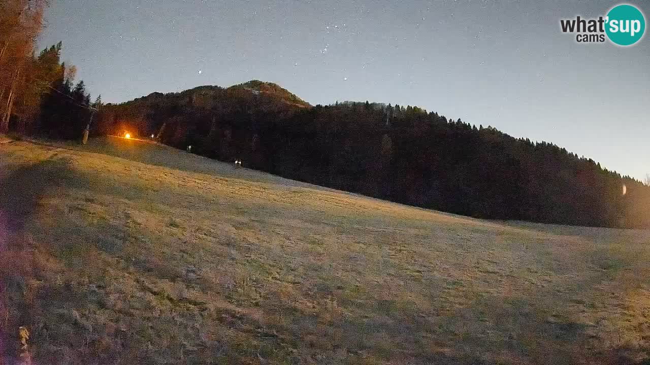 Esquí Kranjska Gora | Brsnina