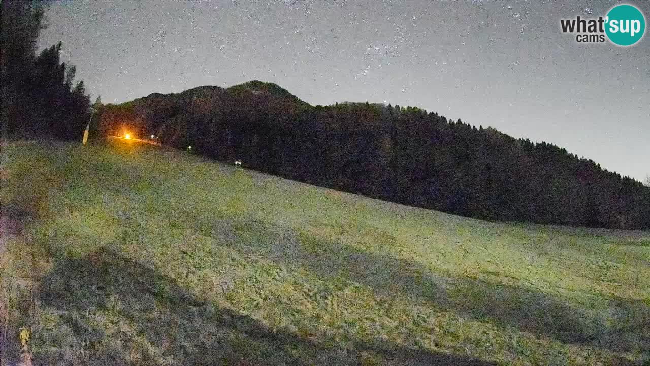 RTC Kranjska Gora | Brsnina