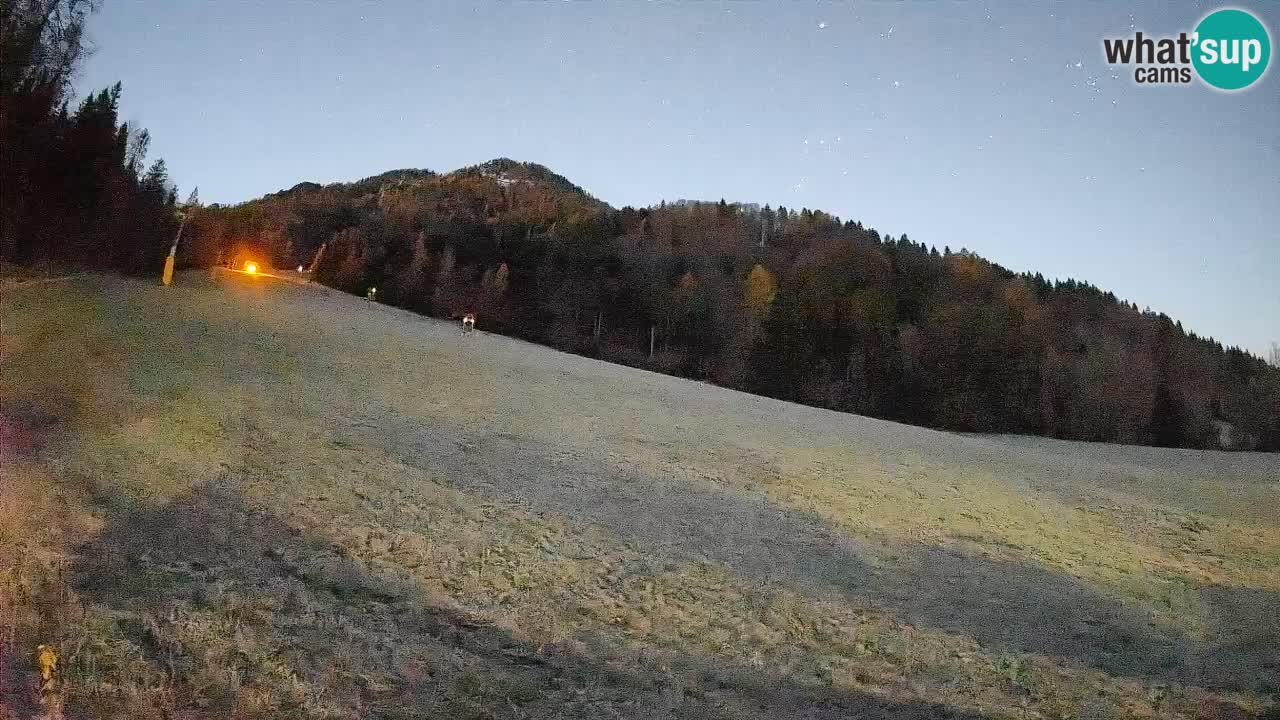 Esquí Kranjska Gora | Brsnina