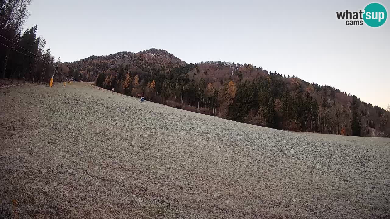 RTC Skigebiet Kranjska Gora | Brsnina