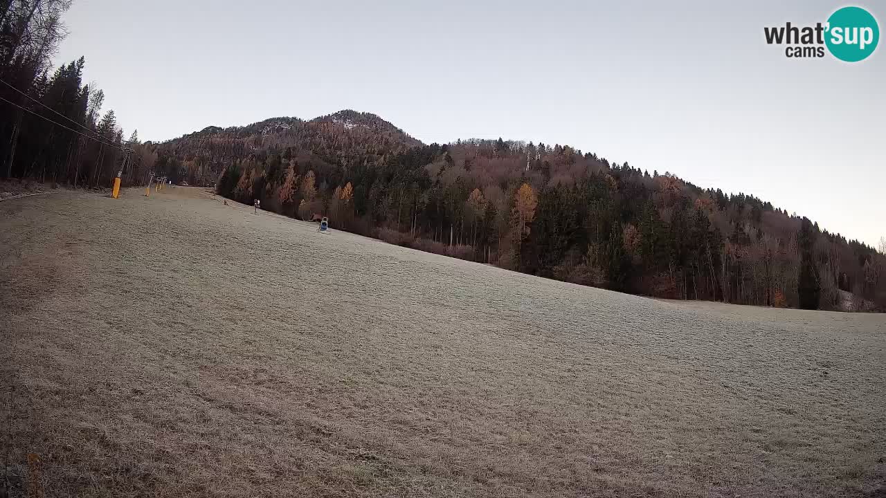 Ski Kranjska Gora | Brsnina