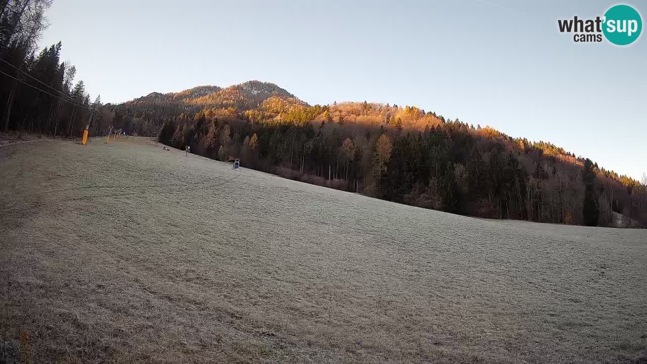 RTC Kranjska Gora | Brsnina