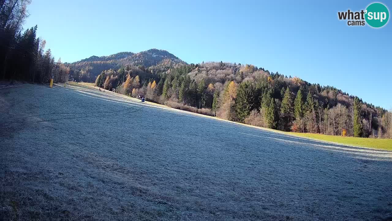 Kranjska Gora Station de ski | Brsnina