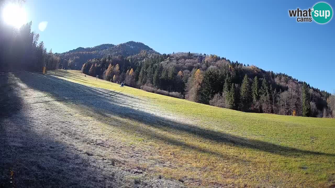 Comprensorio sciistico Kranjska Gora | Brsnina