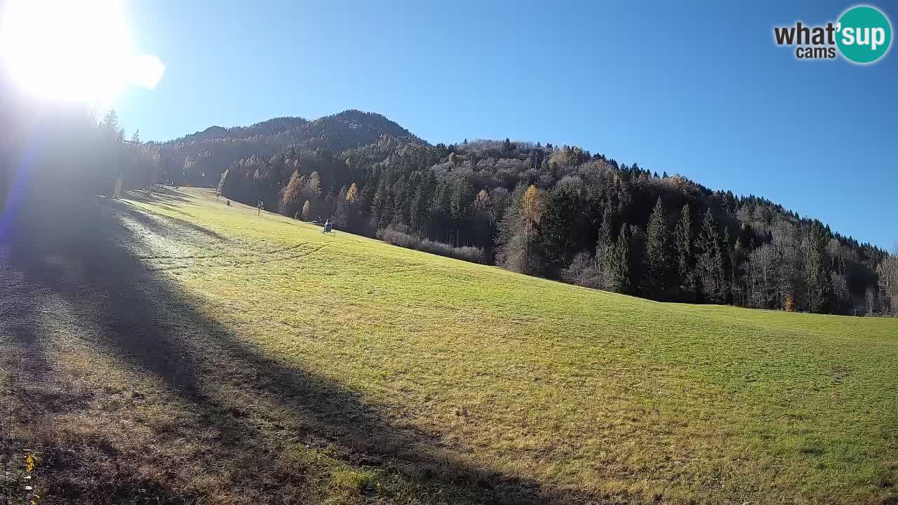 RTC Skigebiet Kranjska Gora | Brsnina