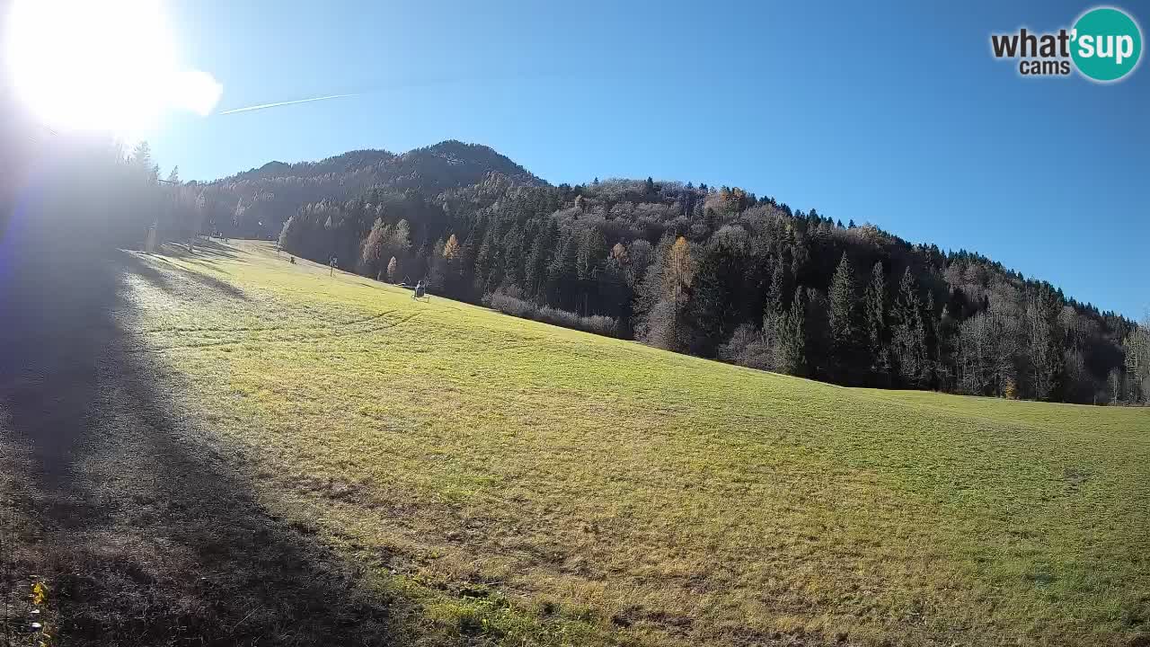RTC Kranjska Gora | Brsnina