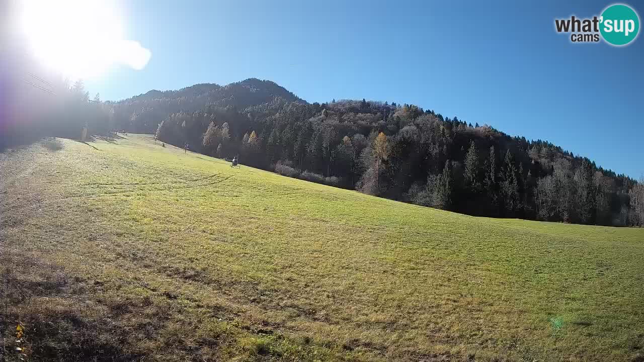 Esquí Kranjska Gora | Brsnina