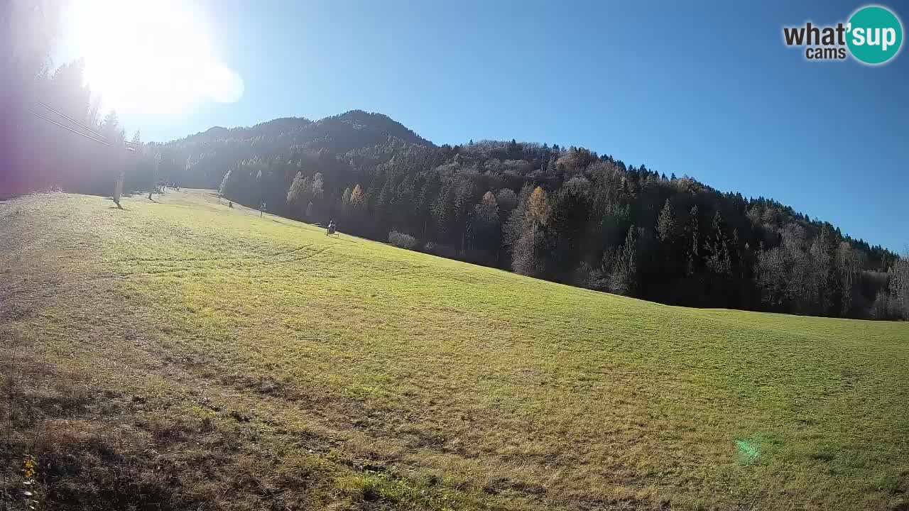Esquí Kranjska Gora | Brsnina