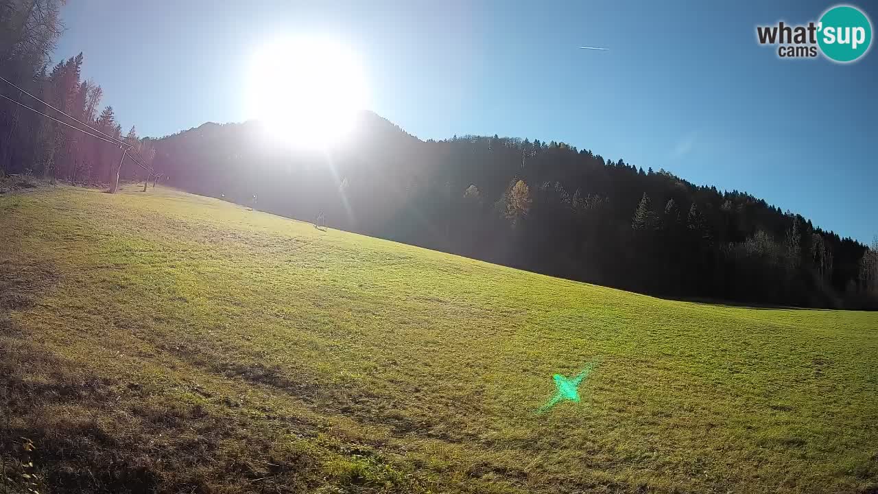 Ski Kranjska Gora | Brsnina