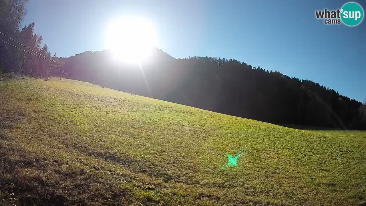 Ski Kranjska Gora | Brsnina