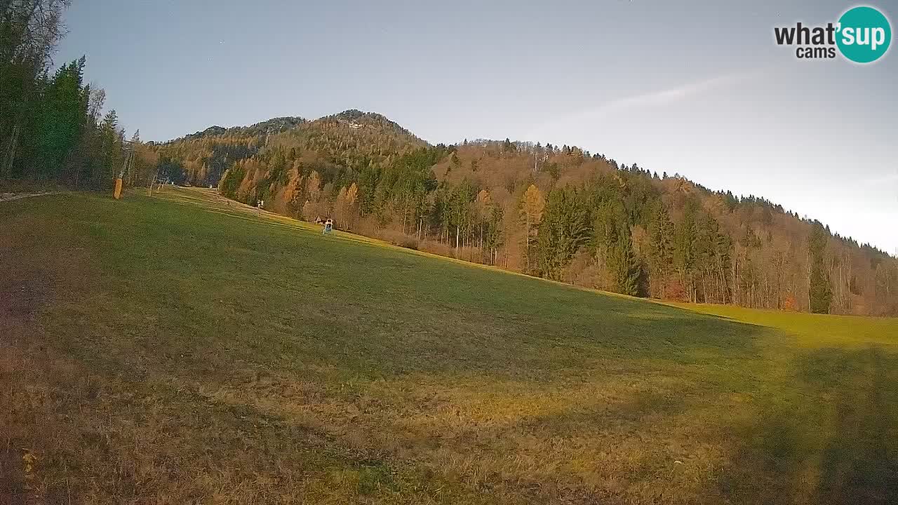 Kranjska Gora Station de ski | Brsnina