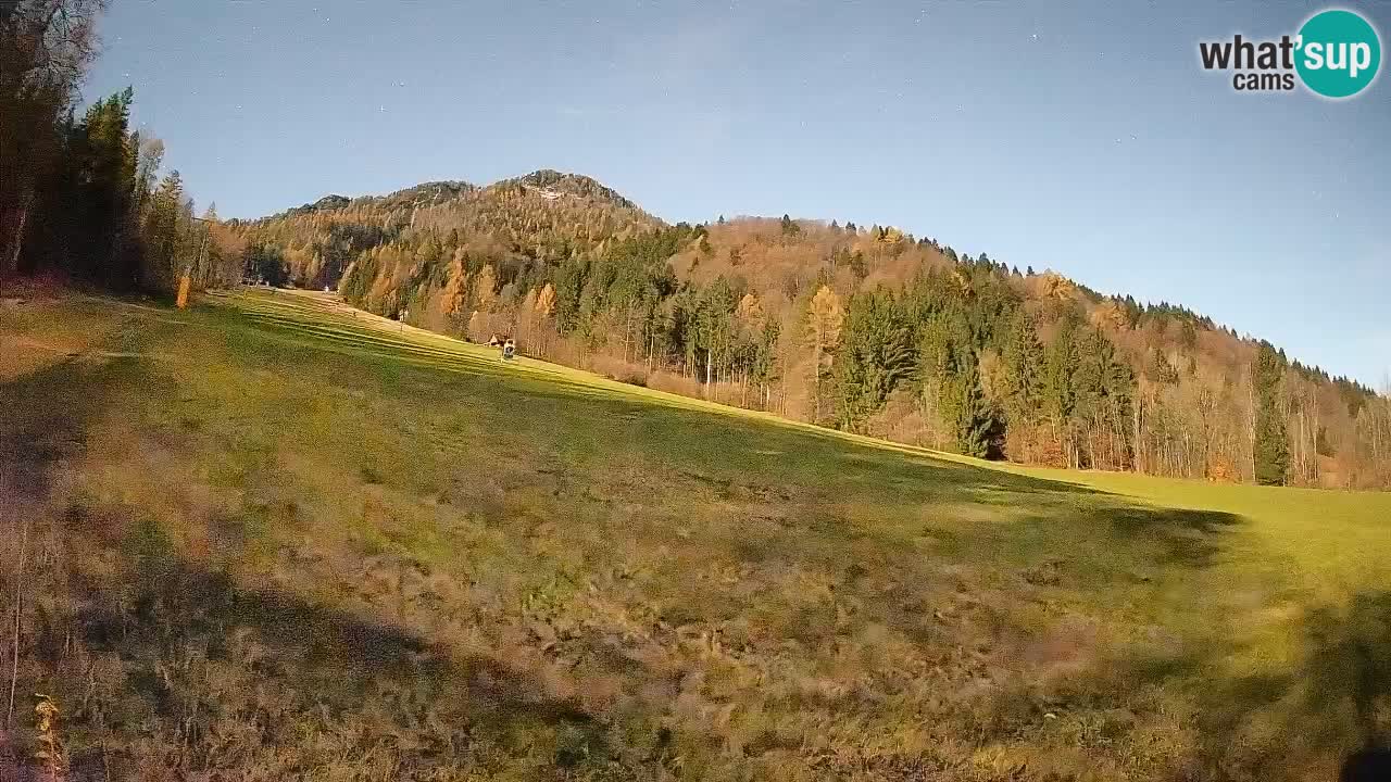 Kranjska Gora Station de ski | Brsnina