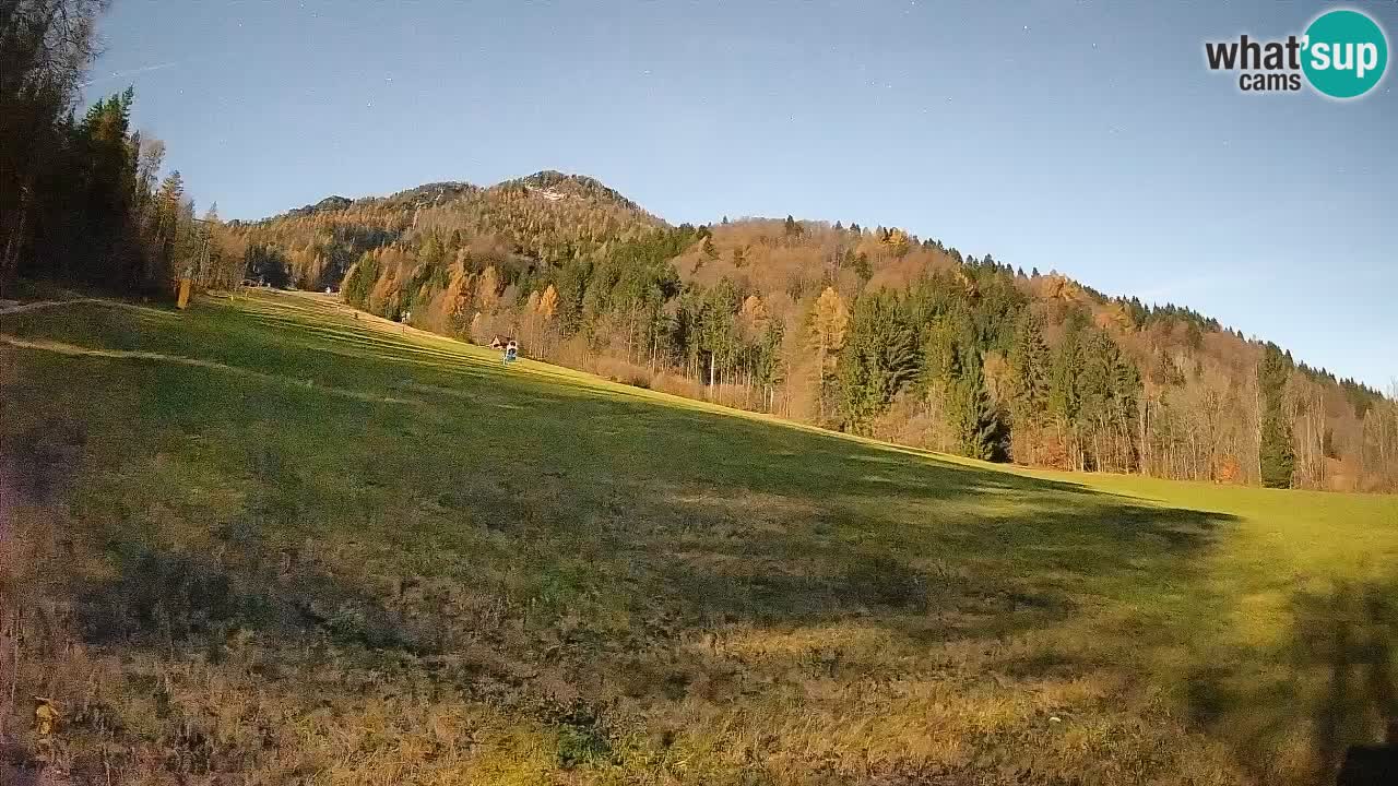 Ski Kranjska Gora | Brsnina