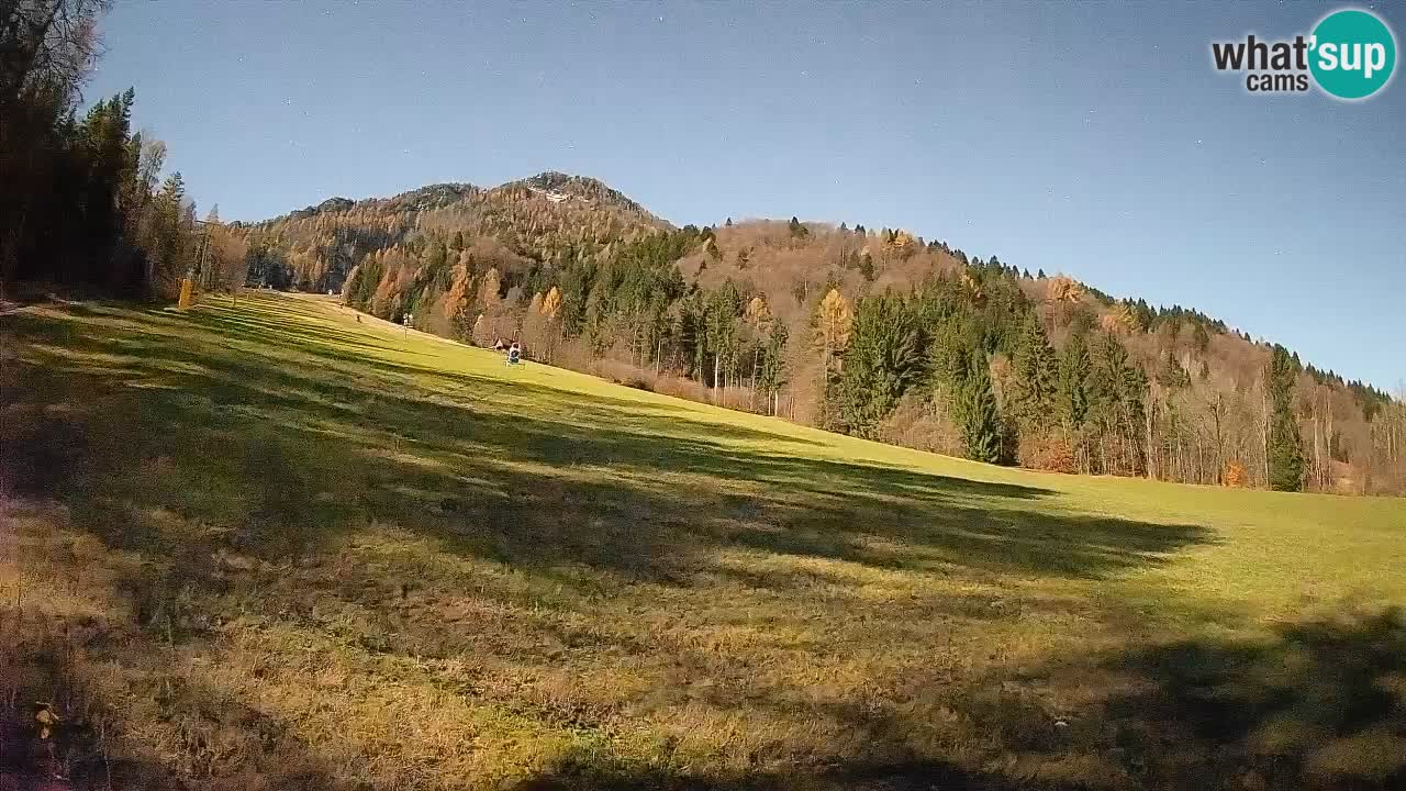 RTC Skigebiet Kranjska Gora | Brsnina