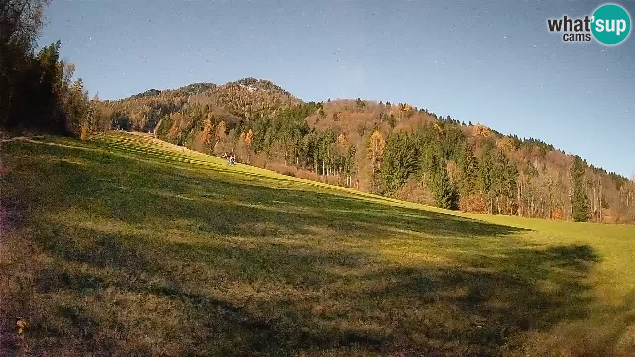 Ski Kranjska Gora | Brsnina