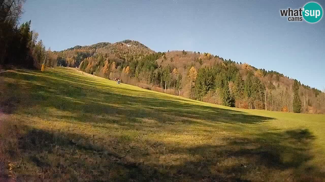 Ski Kranjska Gora | Brsnina