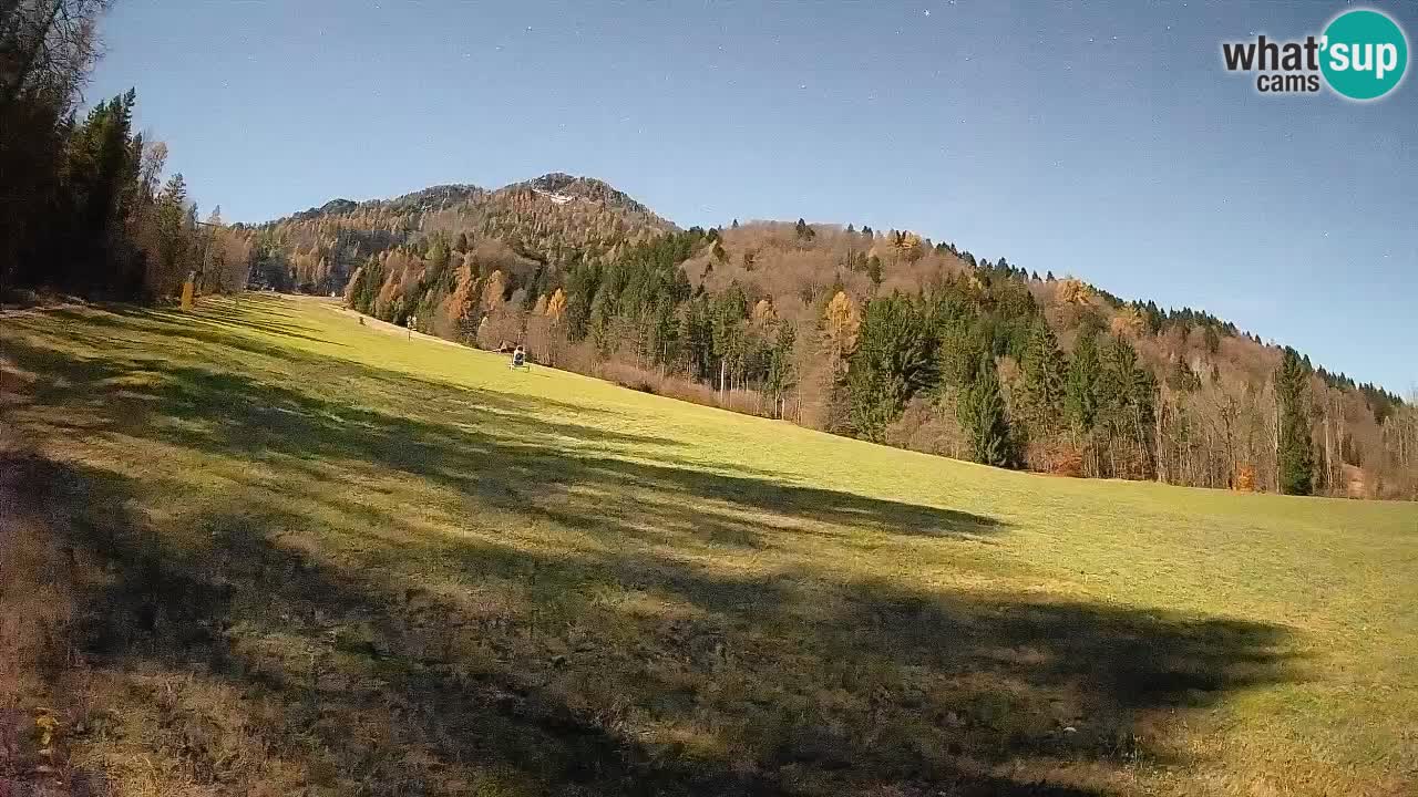 Ski Kranjska Gora | Brsnina