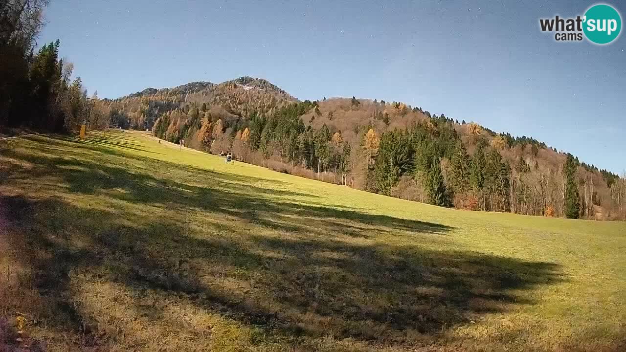 RTC Skigebiet Kranjska Gora | Brsnina