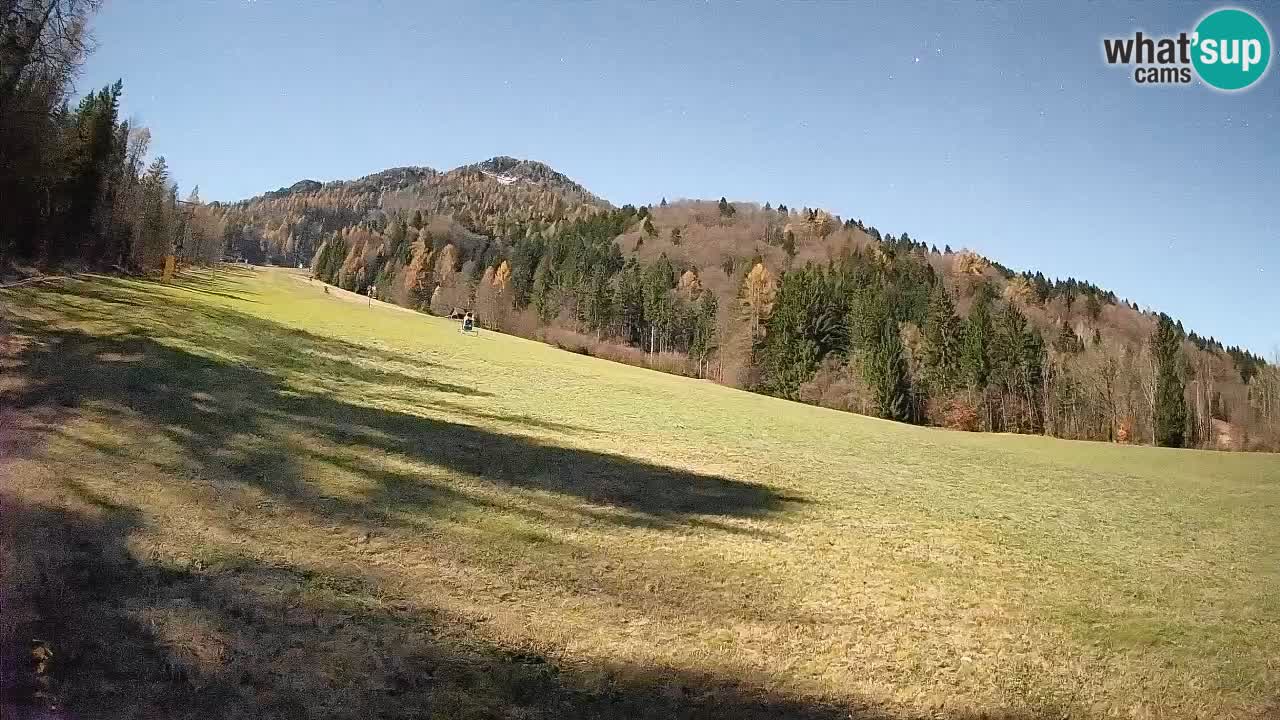 RTC Skigebiet Kranjska Gora | Brsnina