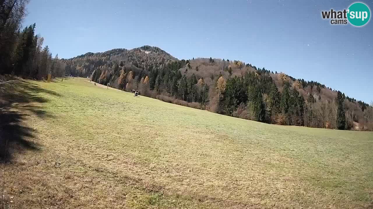 RTC Kranjska Gora | Brsnina