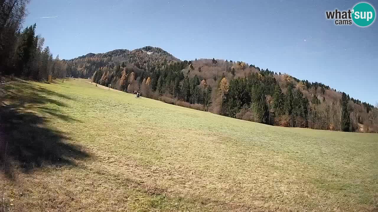 Ski Kranjska Gora | Brsnina