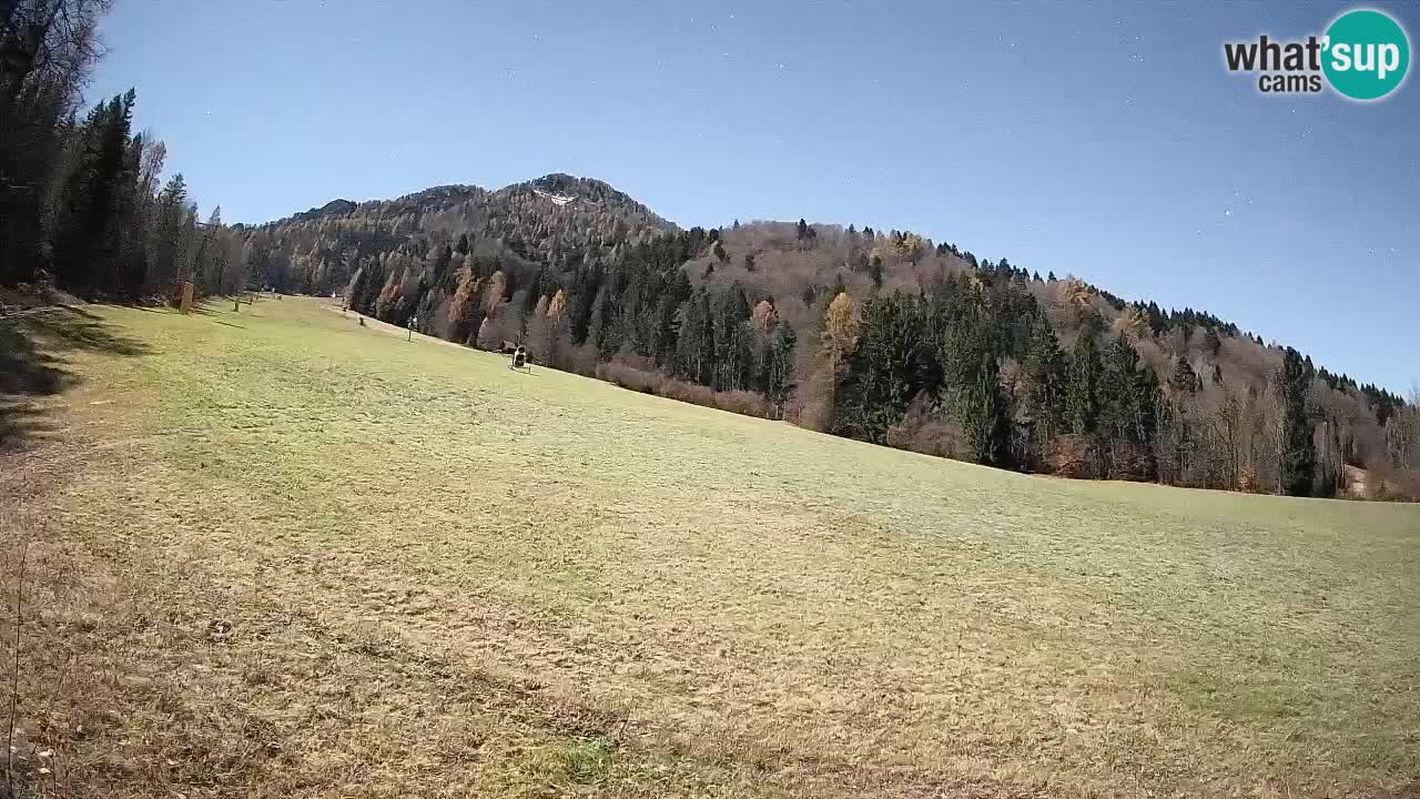 RTC Kranjska Gora | Brsnina