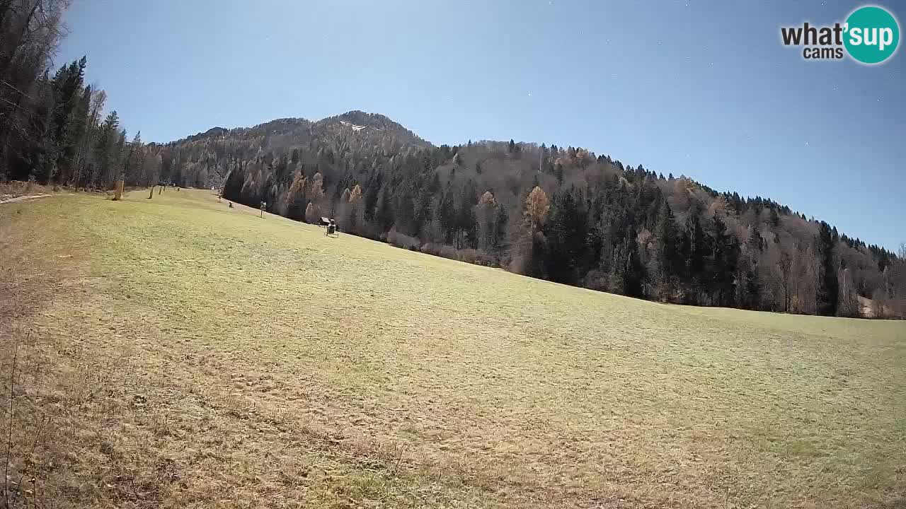 Ski Kranjska Gora | Brsnina
