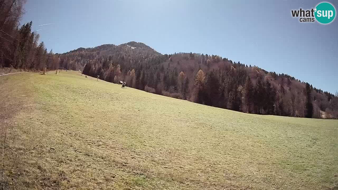 Esquí Kranjska Gora | Brsnina