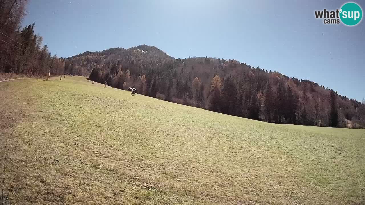 RTC Skigebiet Kranjska Gora | Brsnina