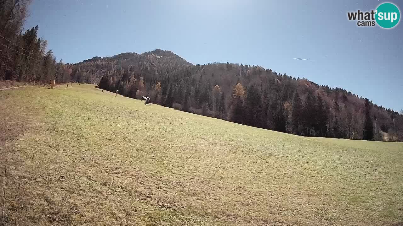 RTC Skigebiet Kranjska Gora | Brsnina