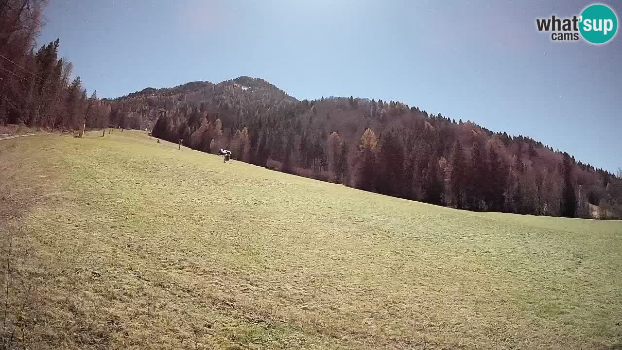 RTC Skigebiet Kranjska Gora | Brsnina
