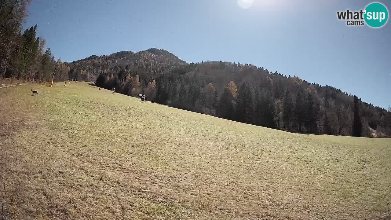 RTC Kranjska Gora | Brsnina