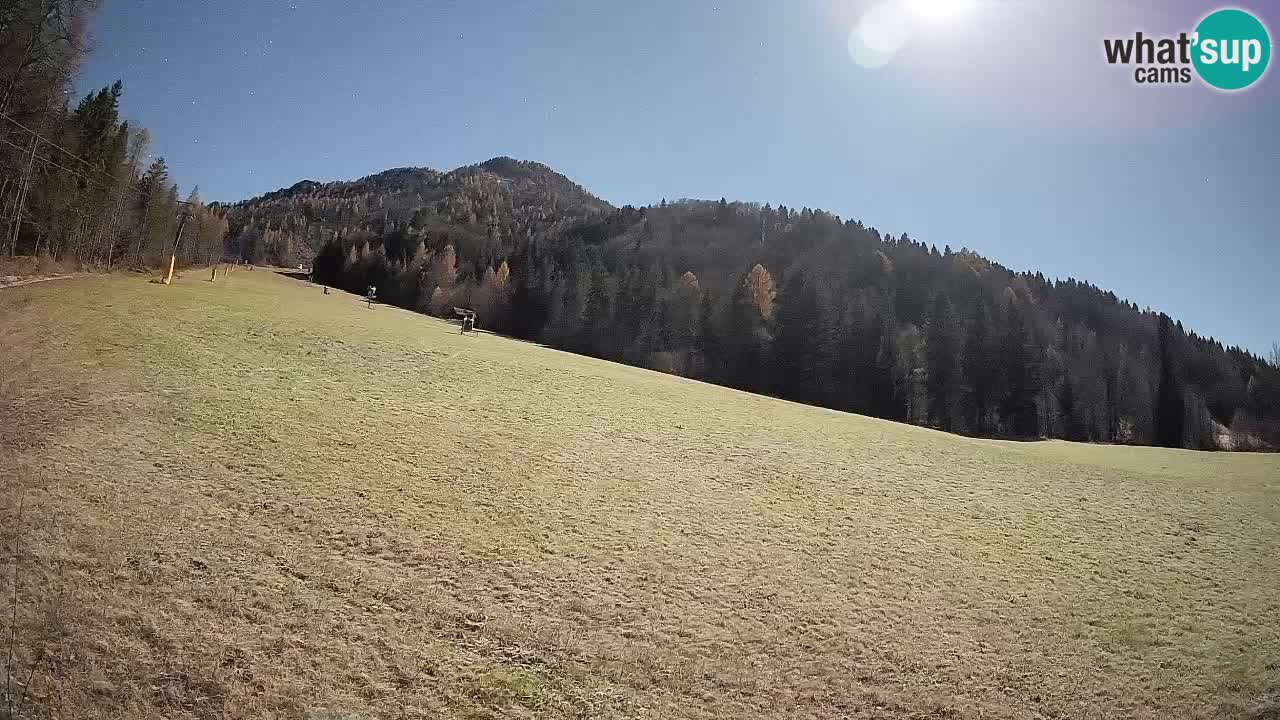 Esquí Kranjska Gora | Brsnina
